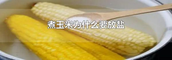 煮玉米为什么要放盐
