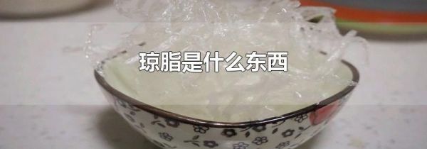 琼脂是什么东西