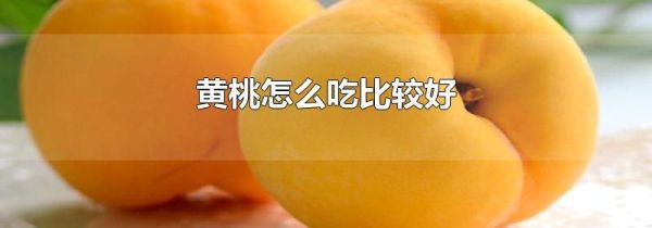 黄桃怎么吃比较好