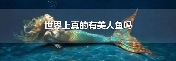 世界上真的有美人鱼吗