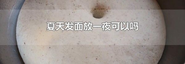 夏天发面放一夜可以吗