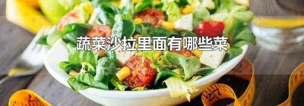 蔬菜沙拉里面有哪些菜