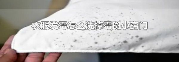 衣服发霉怎么洗掉霉斑小窍门