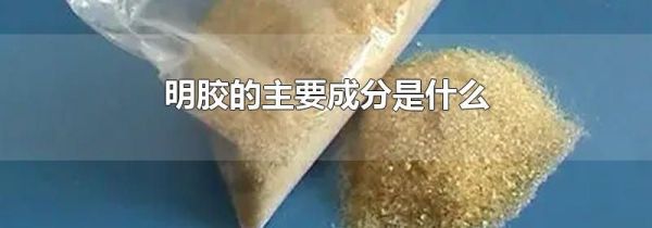 明胶的主要成分是什么