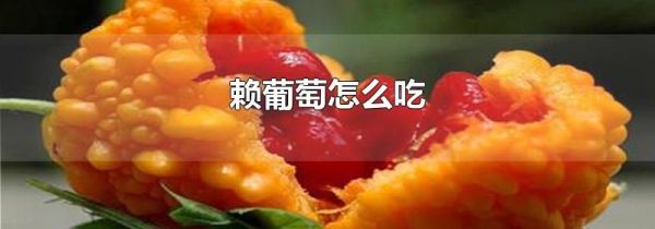 赖葡萄怎么吃