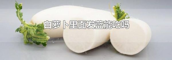 白萝卜里面发蓝能吃吗