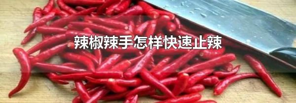 辣椒辣手怎样快速止辣