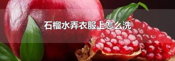 石榴水弄衣服上怎么洗