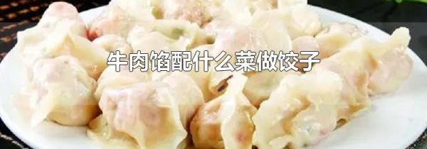 牛肉馅配什么菜做饺子