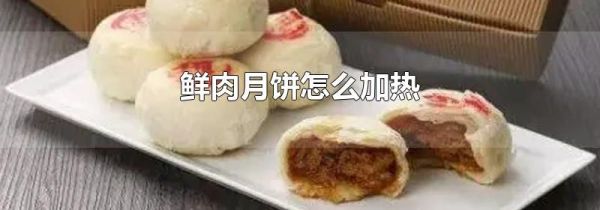 鲜肉月饼怎么加热