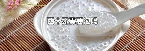 西米露需要泡吗