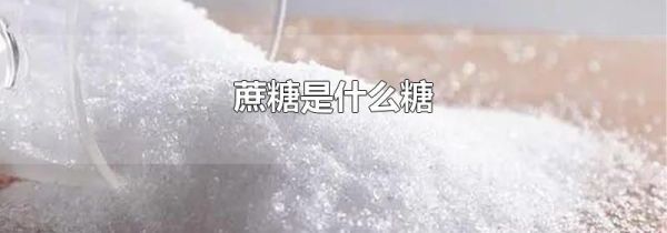 蔗糖是什么糖