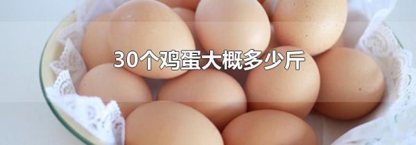 30个鸡蛋大概多少斤