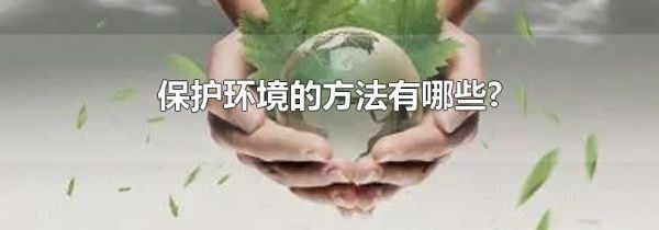 保护环境的方法有哪些?