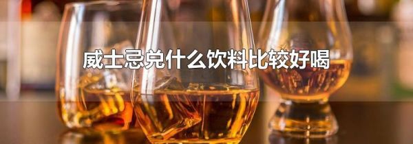 威士忌兑什么饮料比较好喝