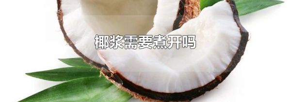 椰浆需要煮开吗