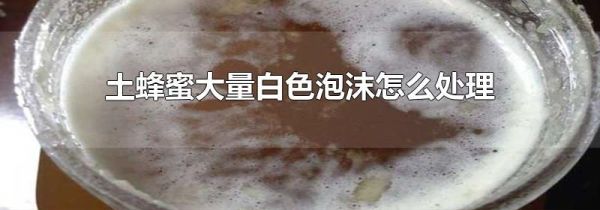 土蜂蜜大量白色泡沫怎么处理