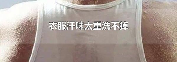 衣服汗味太重洗不掉