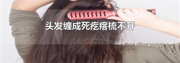 头发缠成死疙瘩梳不开