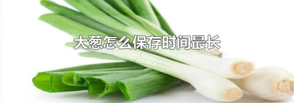 大葱怎么保存时间最长