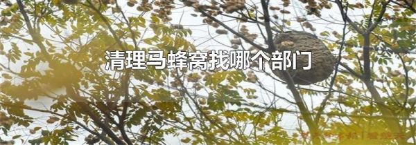 清理马蜂窝找哪个部门
