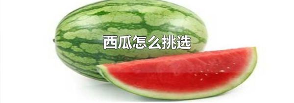 西瓜怎么挑选