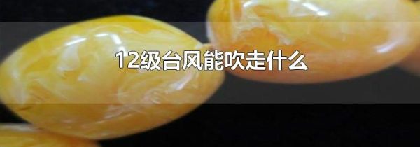 12级台风能吹走什么