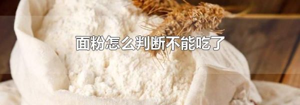 面粉怎么判断不能吃了