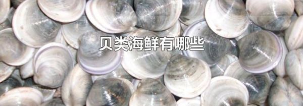 贝类海鲜有哪些