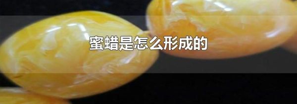 蜜蜡是怎么形成的