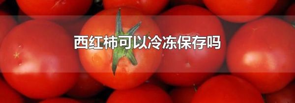 西红柿可以冷冻保存吗