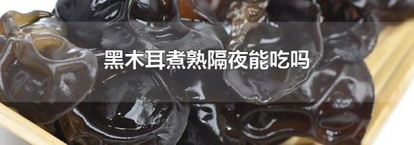 黑木耳煮熟隔夜能吃吗