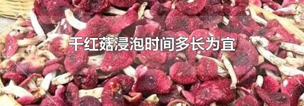 干红菇浸泡时间多长为宜