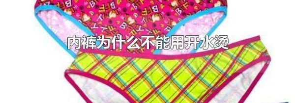 内裤为什么不能用开水烫