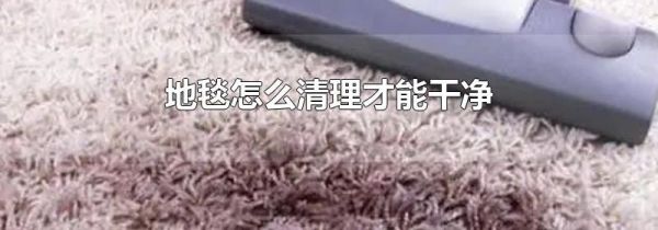 地毯怎么清理才能干净