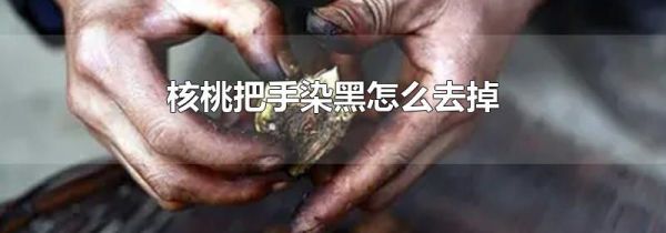 核桃把手染黑怎么去掉