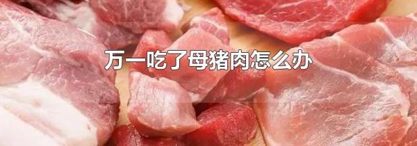 万一吃了母猪肉怎么办