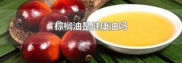 棕榈油是健康油吗