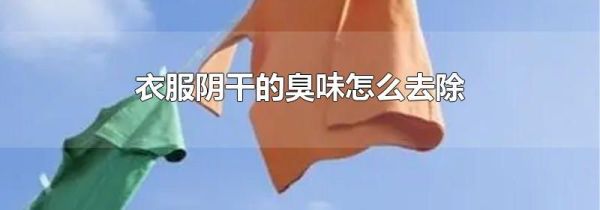 衣服阴干的臭味怎么去除