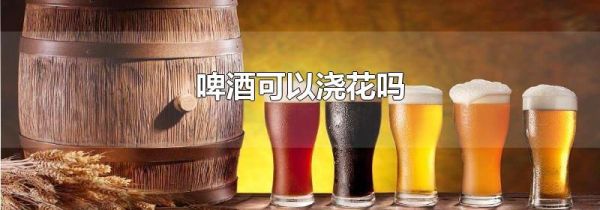 啤酒可以浇花吗