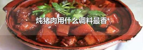 炖猪肉用什么调料最香