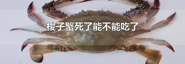 梭子蟹死了能不能吃了