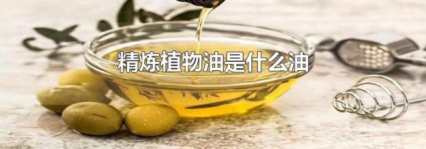 精炼植物油是什么油