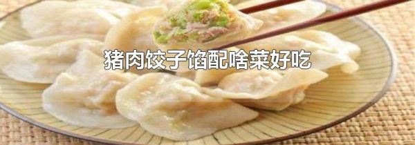猪肉饺子馅配啥菜好吃
