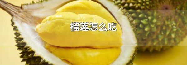 榴莲怎么吃