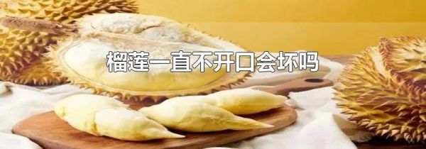 榴莲一直不开口会坏吗