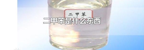 二甲苯是什么东西