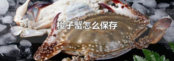 梭子蟹怎么保存
