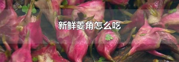 新鲜菱角怎么吃