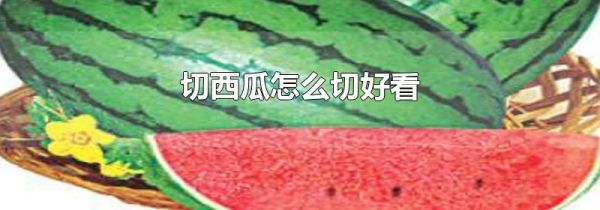 切西瓜怎么切好看